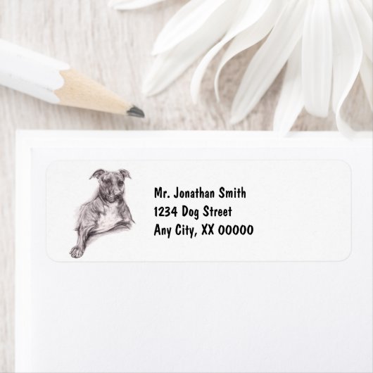 Pit Bull Portrait in Charcoal Etiket (Insitu)