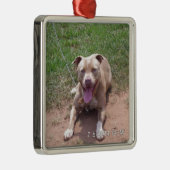 Pit Bull-producten Metalen Ornament (Rechts)