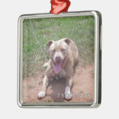 Pit Bull-producten Metalen Ornament (Links)