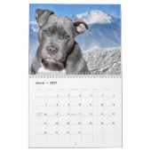 Pit Bull Proud Kalender (Mar 2027)