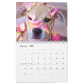 Pit Bull Proud Kalender (Feb 2027)