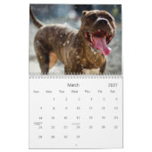 Pit Bull Proud Kalender (Mar 2027)