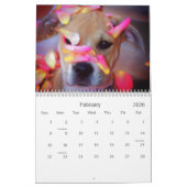 Pit Bull Proud Kalender (Feb 2026)