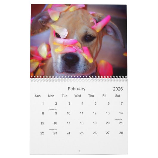 Pit Bull Proud Kalender (Feb 2026)