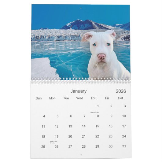 Pit Bull Proud Kalender (Jan 2026)