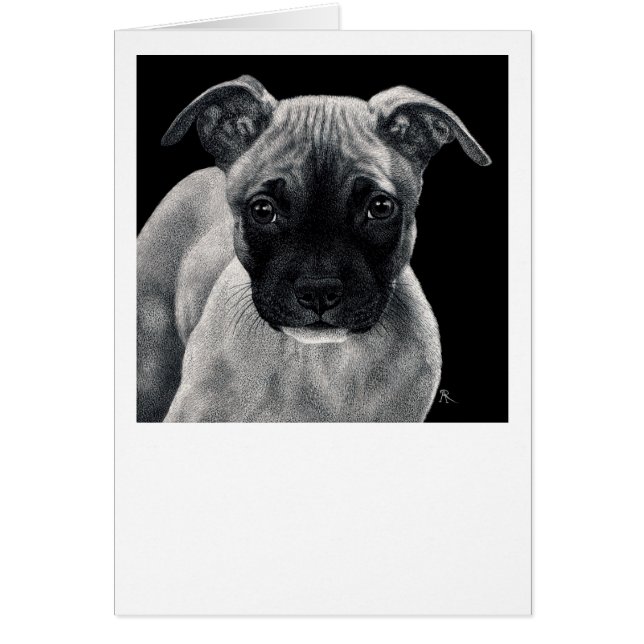 Pit Bull Pup Card - "Mr Mischief" (Voorkant)