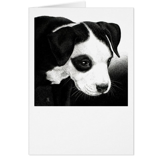 Pit Bull Pup Card - "Pirate Girl" (Voorkant)