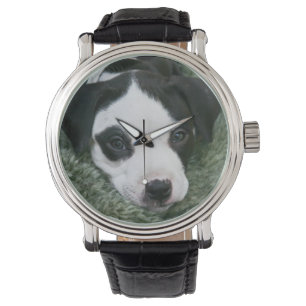 Pit Bull Puppy (Angie) Horloge