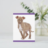 Pit Bull Puppy Dog Blank Briefkaart (Staand voorkant)