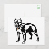 Pit Bull Puppy Hond Blanke Postkaart (Voorkant / Achterkant)