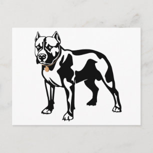 Pit Bull Puppy Hond Blanke Postkaart
