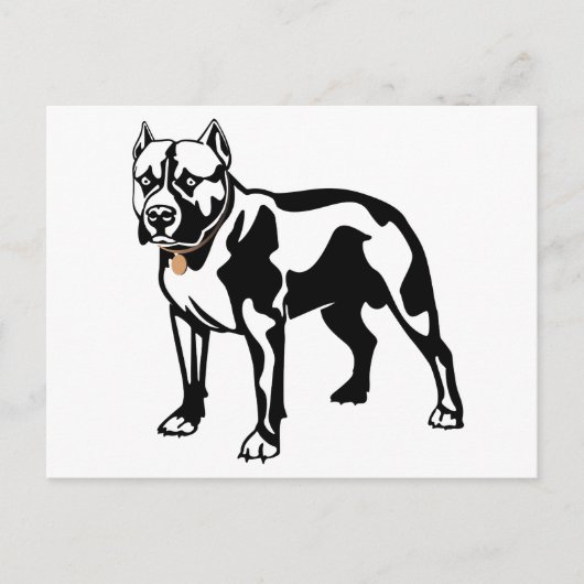 Pit Bull Puppy Hond Blanke Postkaart (Voorkant)