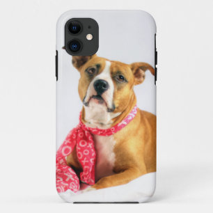 Pit Bull Puppy Love in Roze XOXO iPhone 11 Hoesje