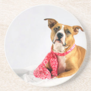 Pit Bull Puppy Love in Roze XOXO Zandsteen Onderzetter