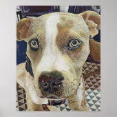 Pit Bull Puppy Poster (Voorkant)