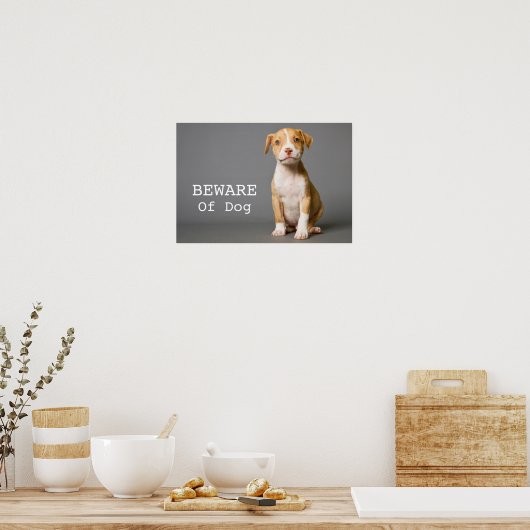 Pit-Bull Puppy Poster (Keuken)