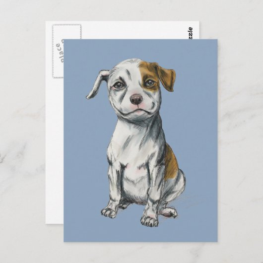 Pit Bull Puppy Sketch Tekening Briefkaart (Voorkant / Achterkant)