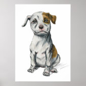 Pit Bull Puppy Sketch Tekening Poster (Voorkant)