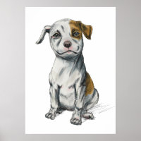 Pit Bull Puppy Sketch Tekening