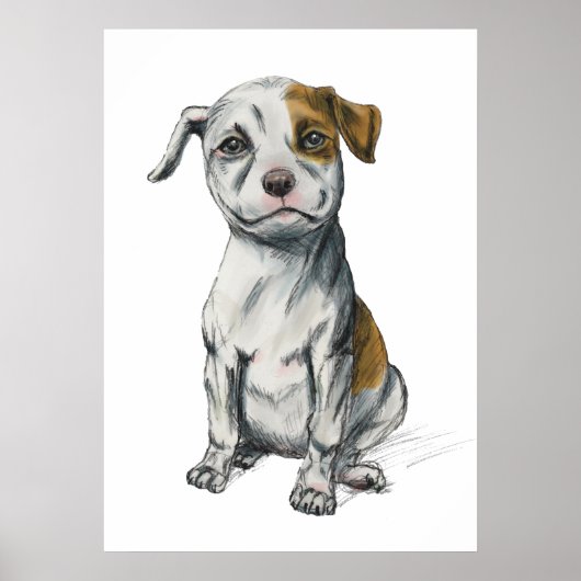 Pit Bull Puppy Sketch Tekening Poster (Voorkant)