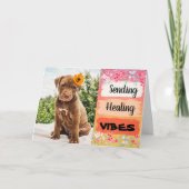 Pit Bull Puppy Verzenden Healing Vibes Krijgen Goe Kaart (Voorkant)