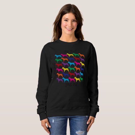Pit Bull Rainbow Trui (Voorkant volledig)