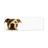 Pit Bull Return Address Labels (Voorkant)
