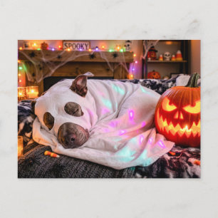 Pit Bull Slapend in Geest Kostuum Halloween Briefkaart