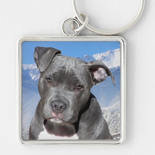Pit Bull Sleutelhanger (Voorkant)