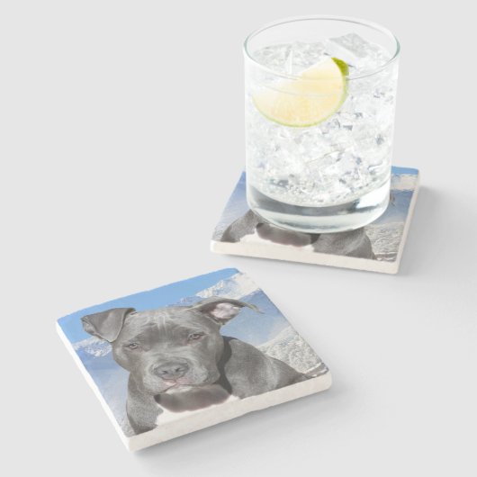 Pit Bull Stenen Onderzetter (Zijkant)