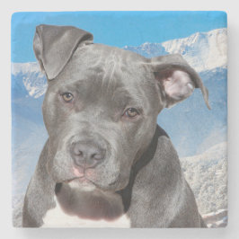 Pit Bull Stenen Onderzetter