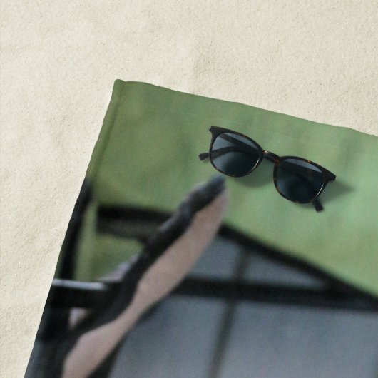 Pit Bull Strandlaken (In situ)