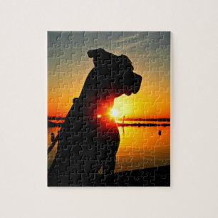 Pit Bull Sunrise Legpuzzel