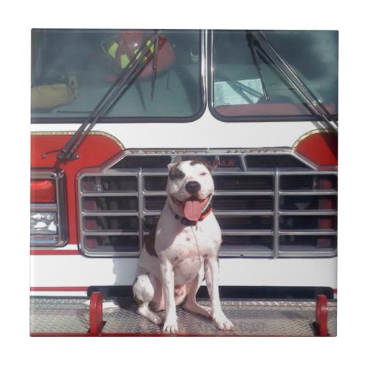 Pit Bull T Bone Fire House Dog Tegeltje (Voorkant)