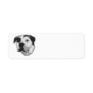 Pit Bull T-Bone Graphic Etiket