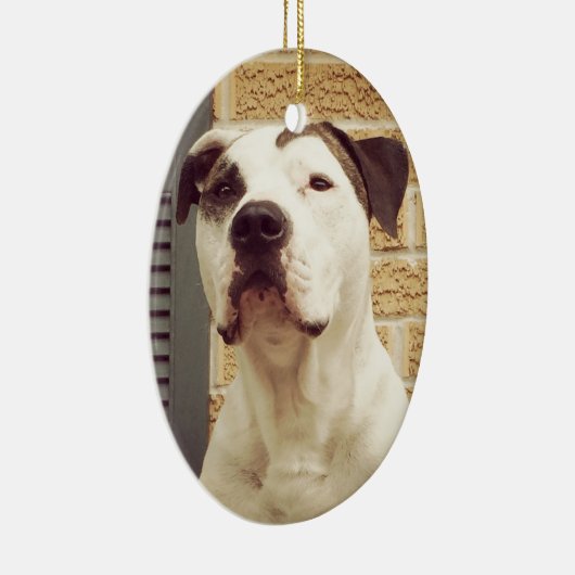Pit Bull T-Bone Keramisch Ornament (Rechts)