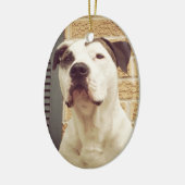 Pit Bull T-Bone Keramisch Ornament (Links)