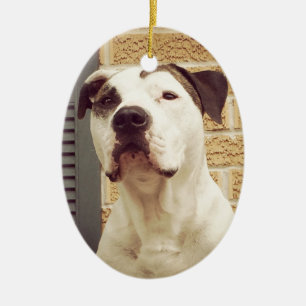 Pit Bull T-Bone Keramisch Ornament