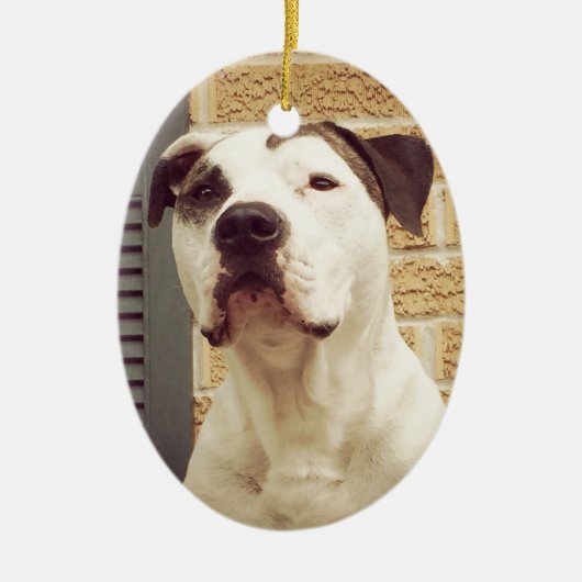 Pit Bull T-Bone Keramisch Ornament (Voorkant)