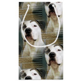 Pit Bull T-Bone Klein Cadeauzakje (Achterkant)