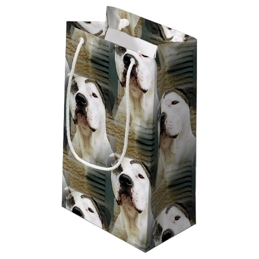 Pit Bull T-Bone Klein Cadeauzakje (Achterkant Gekanteld)