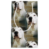 Pit Bull T-Bone Klein Cadeauzakje (Voorkant)