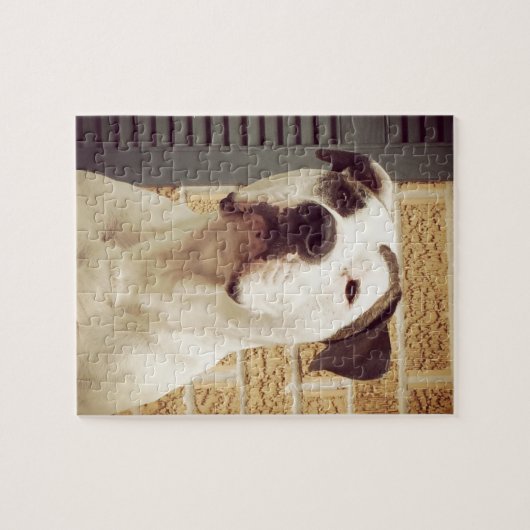 Pit Bull T-Bone Legpuzzel (Horizontaal)