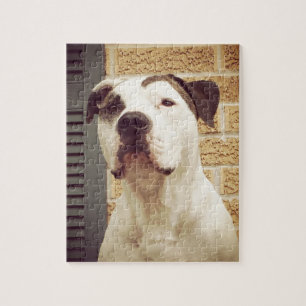 Pit Bull T-Bone Legpuzzel