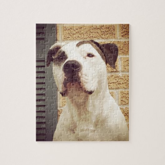 Pit Bull T-Bone Legpuzzel (Verticaal)