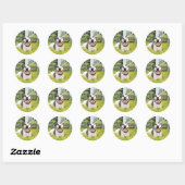 Pit Bull T-Bone Ronde Sticker (Vel)