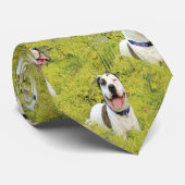 Pit Bull T-Bone Stropdas (Opgerold)