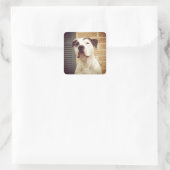 Pit Bull T-Bone Vierkante Sticker (Tas)