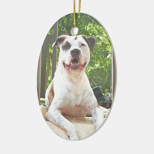 Pit Bull T-Bone's Tree House Keramisch Ornament (Links)