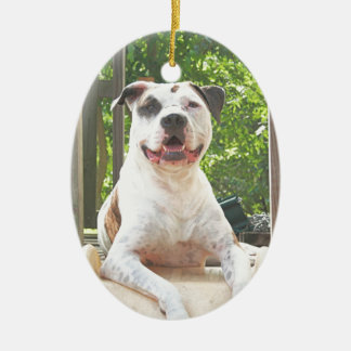 Pit Bull T-Bone's Tree House Keramisch Ornament